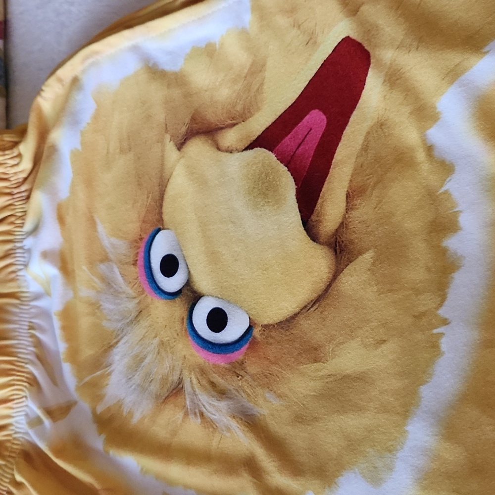 Big Bird Happy To Be Me PJ Pants